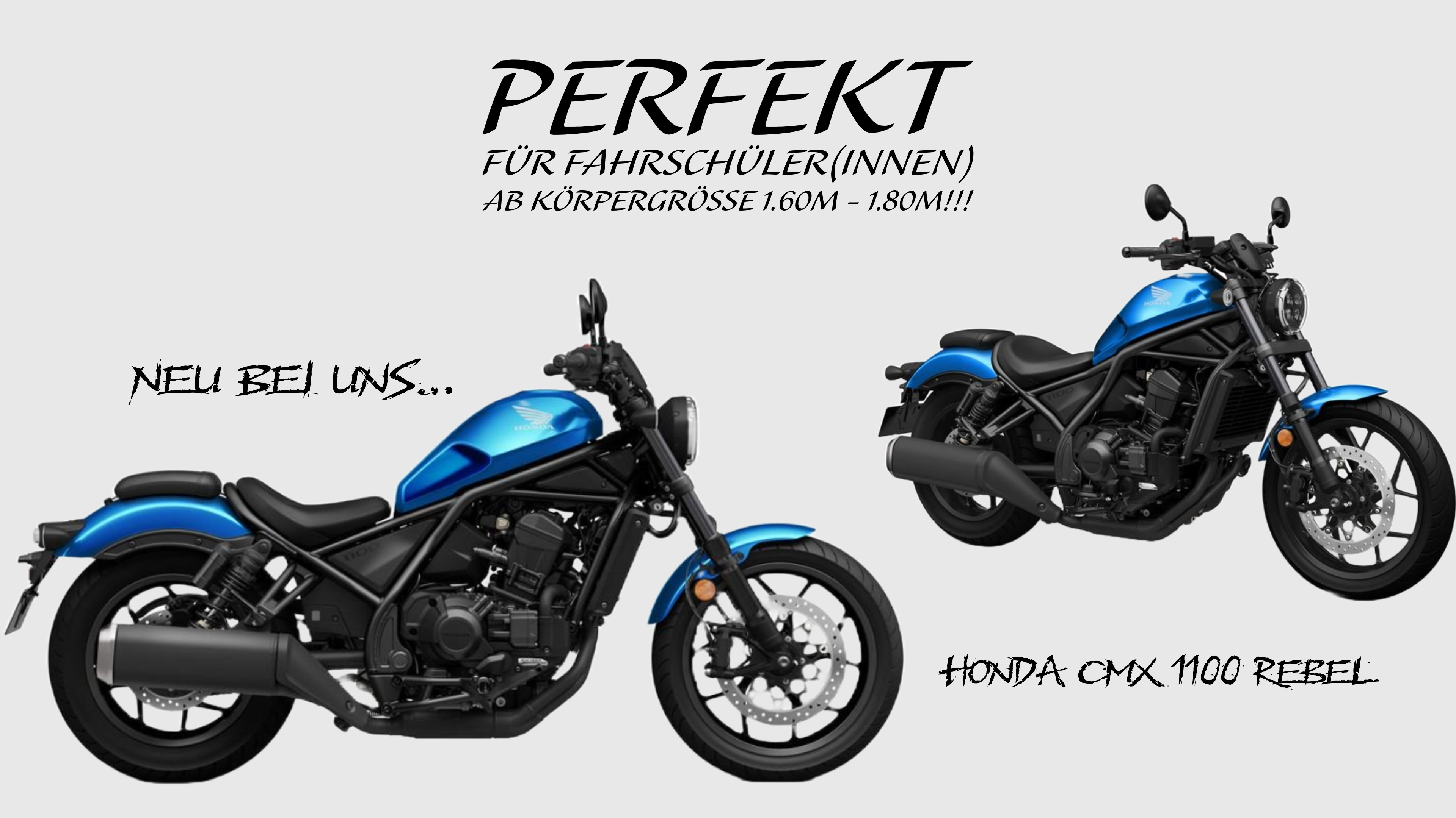 FAHRSCHULE O´KONER - SEAT LEON FR (184 PS)